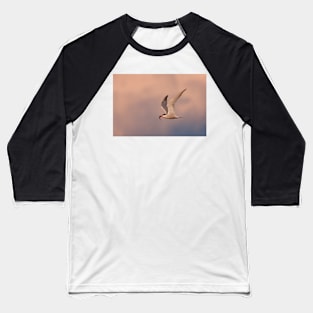 Common Tern with fish Baseball T-Shirt